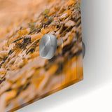 Large abstract wall art in warm autumn hues on acrylic glass, ideal for dining room art in a mid-century modernist style.