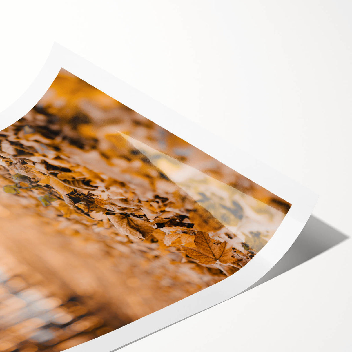 Extra large wall art featuring line art flowers in warm autumn colors on rolled print, suitable for large living room decor.