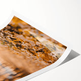 Extra large wall art featuring line art flowers in warm autumn colors on rolled print, suitable for large living room decor.