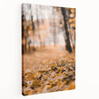 Autumn-themed stretched canvas featuring a tree with multicolored leaves, ideal for kitchen wall art.
