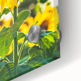 Large abstract wall art in pastel shades on acrylic glass, depicting spring themes, ideal for dining room art.
