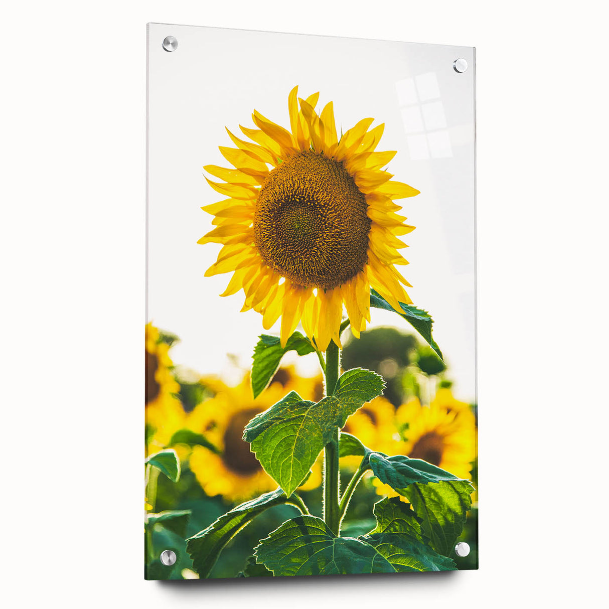 Large abstract wall art on acrylic glass depicting spring themes in vibrant green and yellow tones.