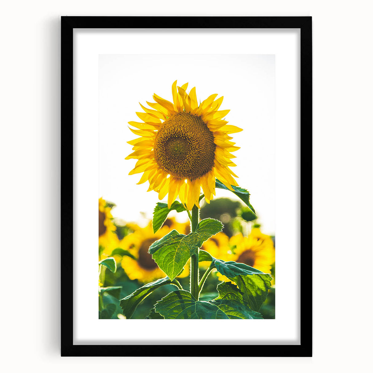 Abstract art print depicting colorful, textured spring themes on a large black-framed canvas, ideal for living room decor.