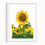 Abstract art print featuring swirling pastel shades on a framed white canvas, suitable for bedroom or dining room decor.