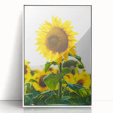 Art deco poster featuring a spring theme in soft pastel shades on a framed acrylic, ideal for nursery wall art.