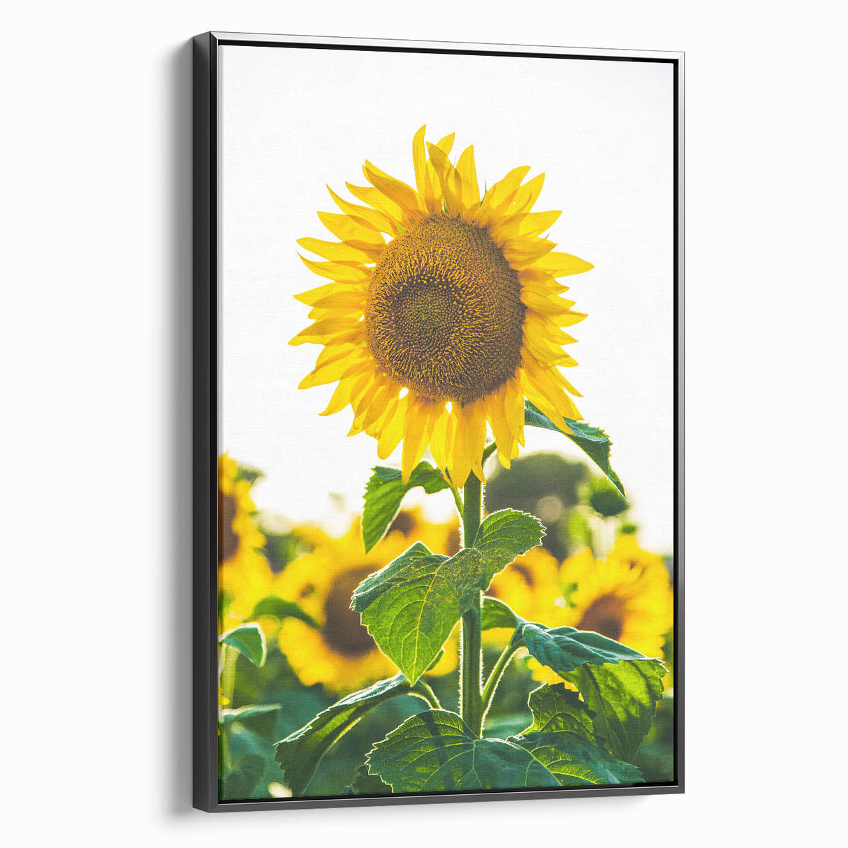 Black and white framed canvas featuring a vintage landscape painting of spring, ideal for bedroom wall decor.