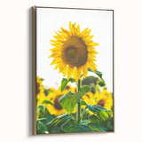 Framed canvas featuring a vintage-style landscape with lush greenery and soft pink blossoms, ideal for bedroom wall art.