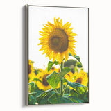 Framed canvas depicting a vintage-style landscape with colorful spring scenery, ideal for enhancing a living room ambiance.