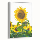 Vintage poster art of a colorful spring scene on extra large framed canvas, suitable for living room decor.