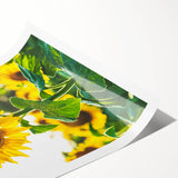 Extra large wall art featuring line art flowers in soft pastel shades on a rolled print, ideal for large living room decor.