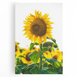 Large black and white abstract art on stretched canvas depicting spring, ideal for kitchen wall art.