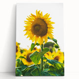 Large black and white abstract canvas featuring swirling patterns, ideal for kitchen wall art or bedroom ambiance.