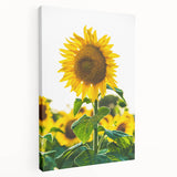 Spring-themed abstract art on stretched canvas with vibrant green and pink tones, suitable for kitchen wall art.