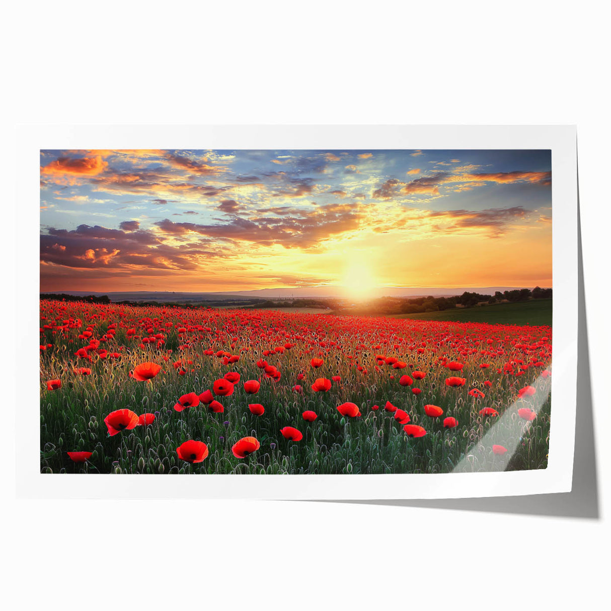 Rolled print showcasing a serene countryside landscape, featuring lush green fields and a clear blue sky, thoughtfully packaged in a protective cardboard tube.