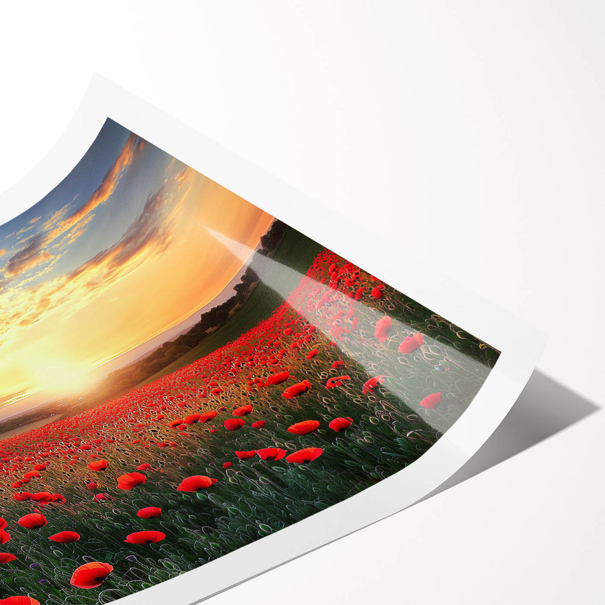 Rolled landscape print showcasing a serene countryside scene with rolling hills and a vibrant blue sky, elegantly packaged in a protective cardboard tube for easy transport.