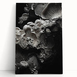 Black and white close-up photo of natural elements on stretched canvas, ideal for kitchen wall art or bedroom ambiance.
