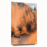 Large abstract wall art featuring swirling autumnal hues on acrylic glass, ideal for dining room ambiance.