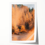 Rolled print of fall-themed floral art in warm orange and yellow tones, suitable for art wall dining room.