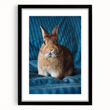 Extra large abstract art print featuring textured, colorful patterns, framed in black, perfect for living room decor.