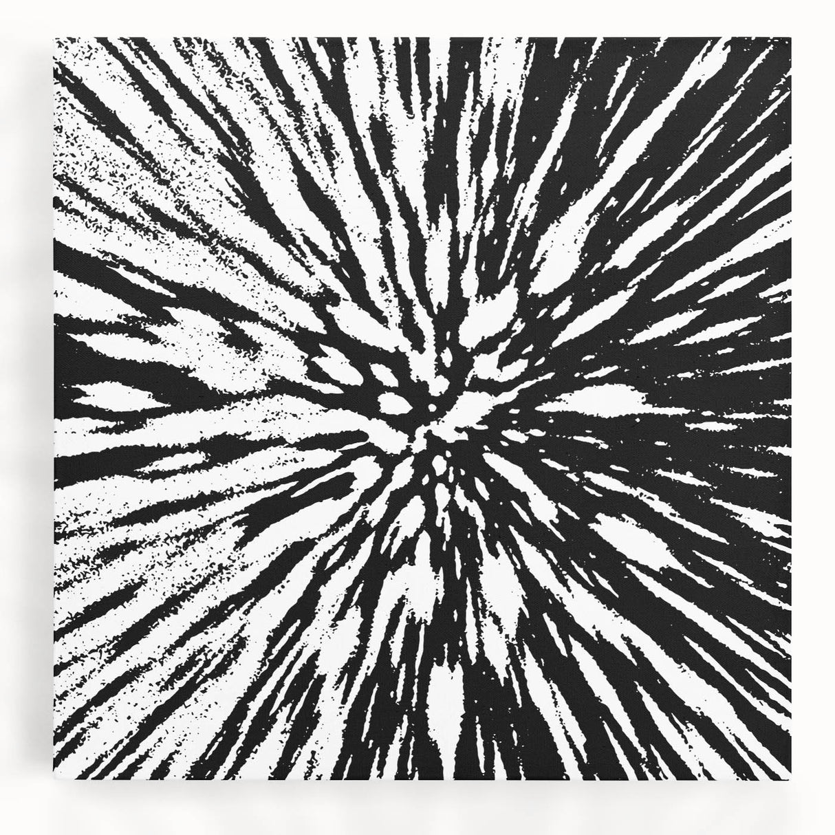 Black and White Abstract Art - Explosive Burst Monochrome Design