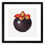 Extra large framed abstract art print featuring vibrant, textured depictions of assorted fruits, ideal for living room decor.