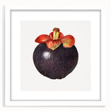 Abstract art print featuring assorted fruits in vibrant colors on a white framed canvas, suitable for dining room decor.