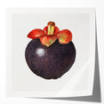 Extra large rolled print of vibrant fruit and floral arrangement, ideal for art wall dining room.
