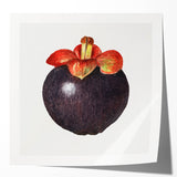 Extra large rolled print of vibrant fruit and floral arrangement, ideal for art wall dining room.