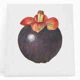 Black and white large art print of assorted fruits on stretched canvas, ideal for kitchen wall art.