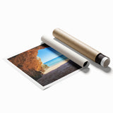 Stunning landscape print of a serene beach scene, featuring vibrant blue waters and golden sand, elegantly rolled and packaged in a protective tube for shipping.