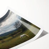 Vibrant rolled print showcasing a serene countryside landscape, featuring lush green fields and a clear blue sky, packaged securely in a protective tube.