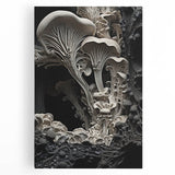 Black and white close-up photo of natural elements on stretched canvas, ideal for kitchen wall art.