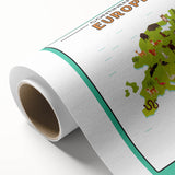 Classroom Educational Posters – Australia Map Learning Print