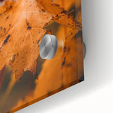 Large abstract wall art depicting autumn leaves in earthy tones on acrylic glass, suitable for dining room ambiance.