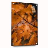 Large abstract wall art depicting fall colors in orange and brown tones on acrylic glass.