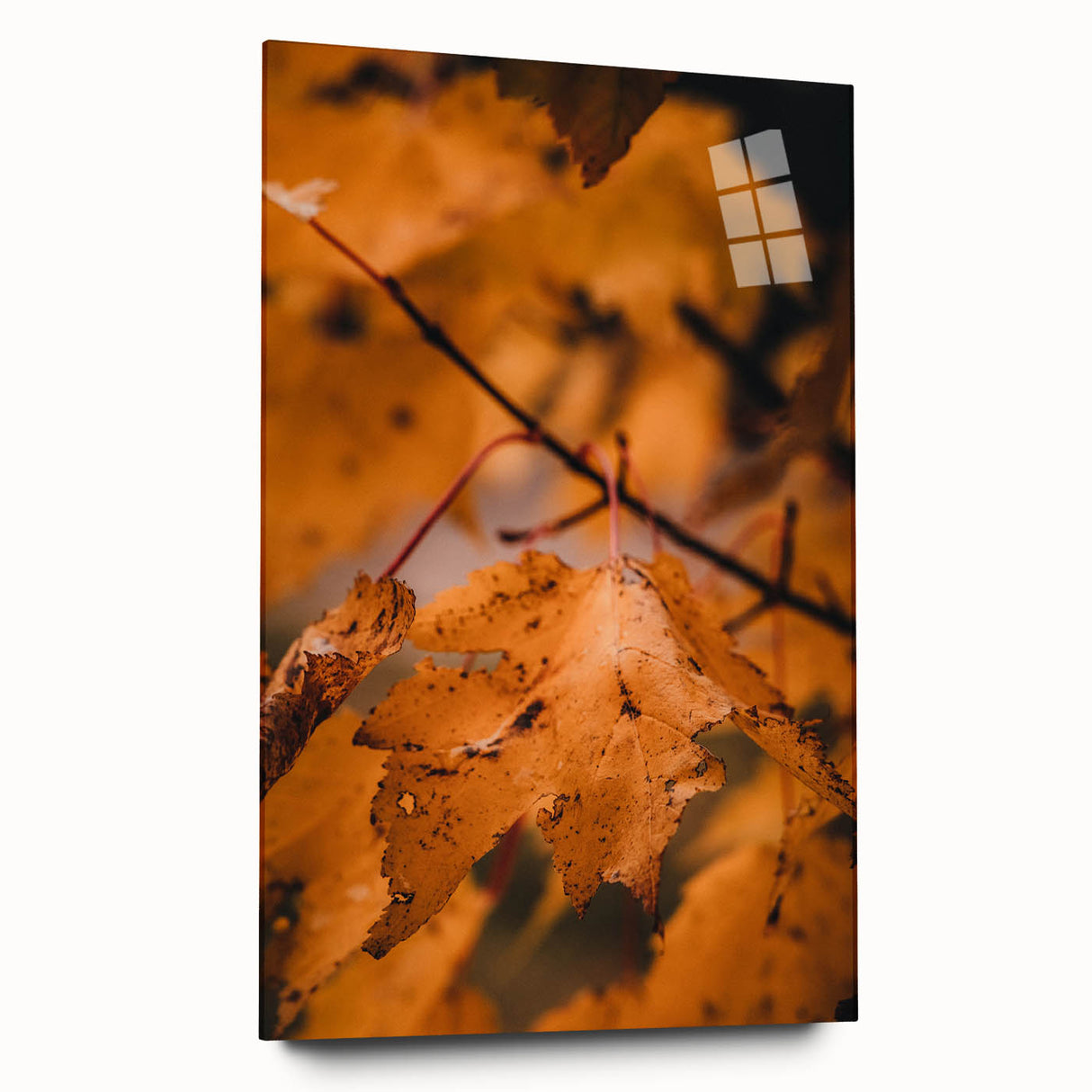 Large abstract wall art on acrylic glass featuring swirling autumnal hues, ideal for bedroom or dining room decor.