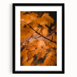 Extra large abstract art print with textured autumn hues on a framed black canvas, ideal for living room decor.