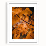 Abstract art print depicting autumnal trees in orange and red tones on a white framed canvas, suitable for dining room decor.
