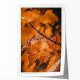 Extra large rolled print of colorful fall foliage in a floral design, ideal for art wall dining room.