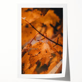 Extra large rolled print of colorful fall foliage in a floral design, ideal for art wall dining room.