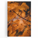 Black and white abstract depiction of autumn trees on large stretched canvas, ideal for kitchen wall art.