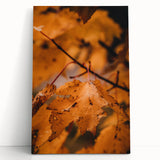 Black and white abstract tree design on large stretched canvas, ideal for kitchen wall art.