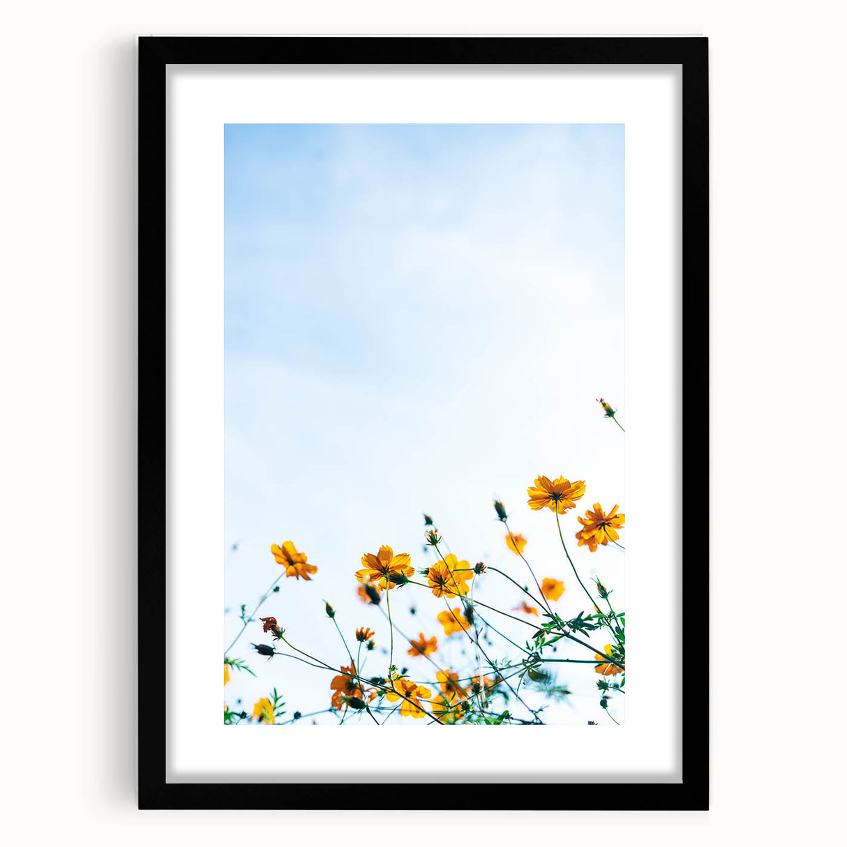 Extra large abstract art print featuring textured, colorful swirls in spring hues on a black framed canvas.