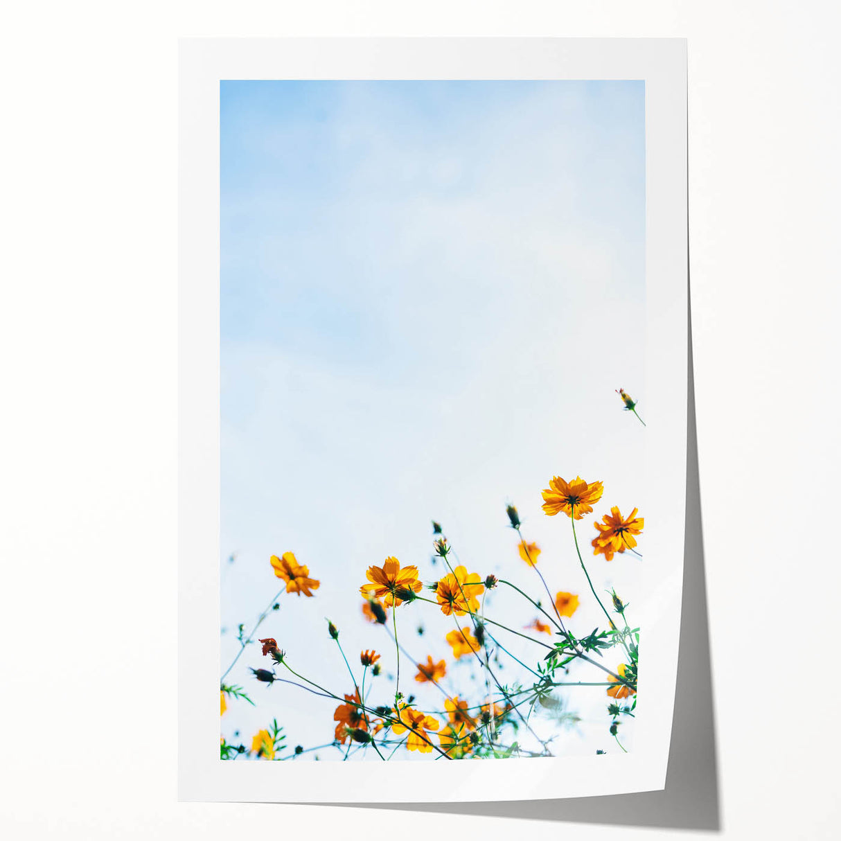 Spring-themed floral art on rolled canvas, featuring soft pastel colors, ideal for art wall dining room.
