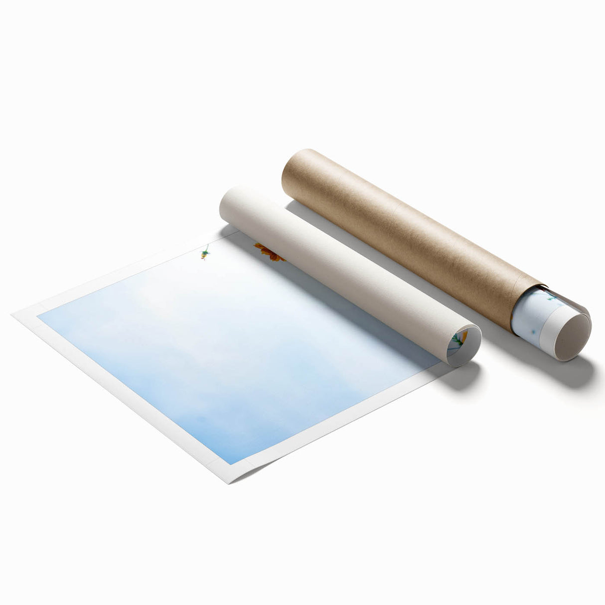 Extra large rolled canvas featuring a vibrant floral art design.