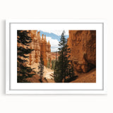 Framed landscape artwork of canyons with a white mat, showcasing intricate details and natural colors, perfect for enhancing home decor or office spaces.