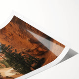 Vibrant landscape canyons rolled print showcasing rich earth tones and intricate details, ideal for home decor, packaged securely in a protective tube.