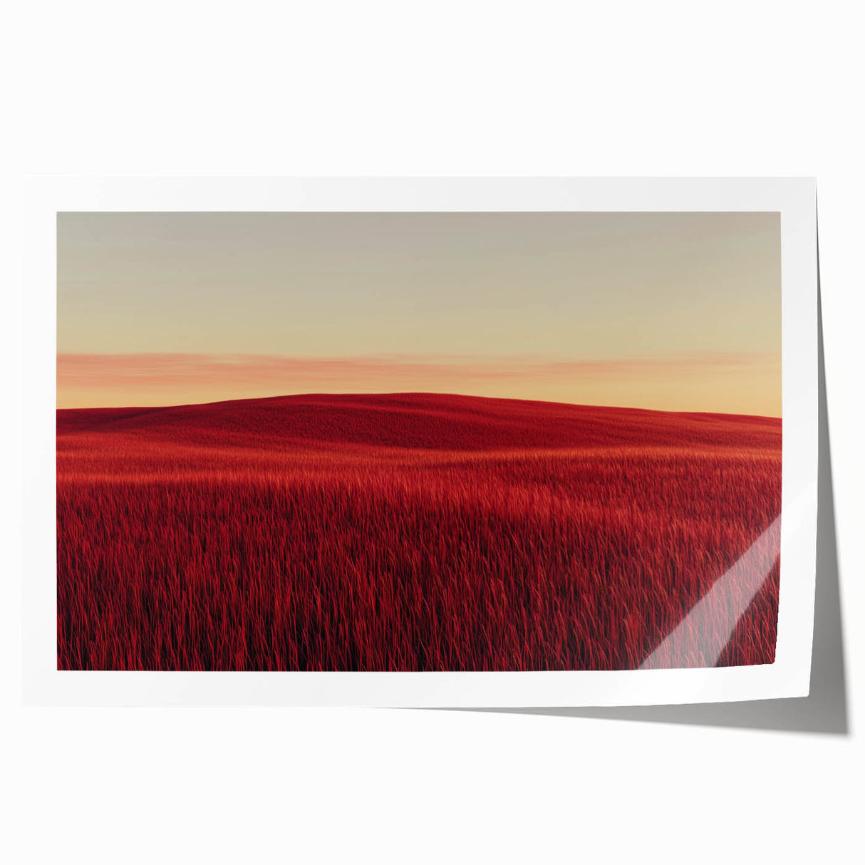 Rolled landscape print showcasing a serene countryside scene with vibrant greens and soft blue skies, carefully packaged in a protective cardboard tube. Ideal for home decor.