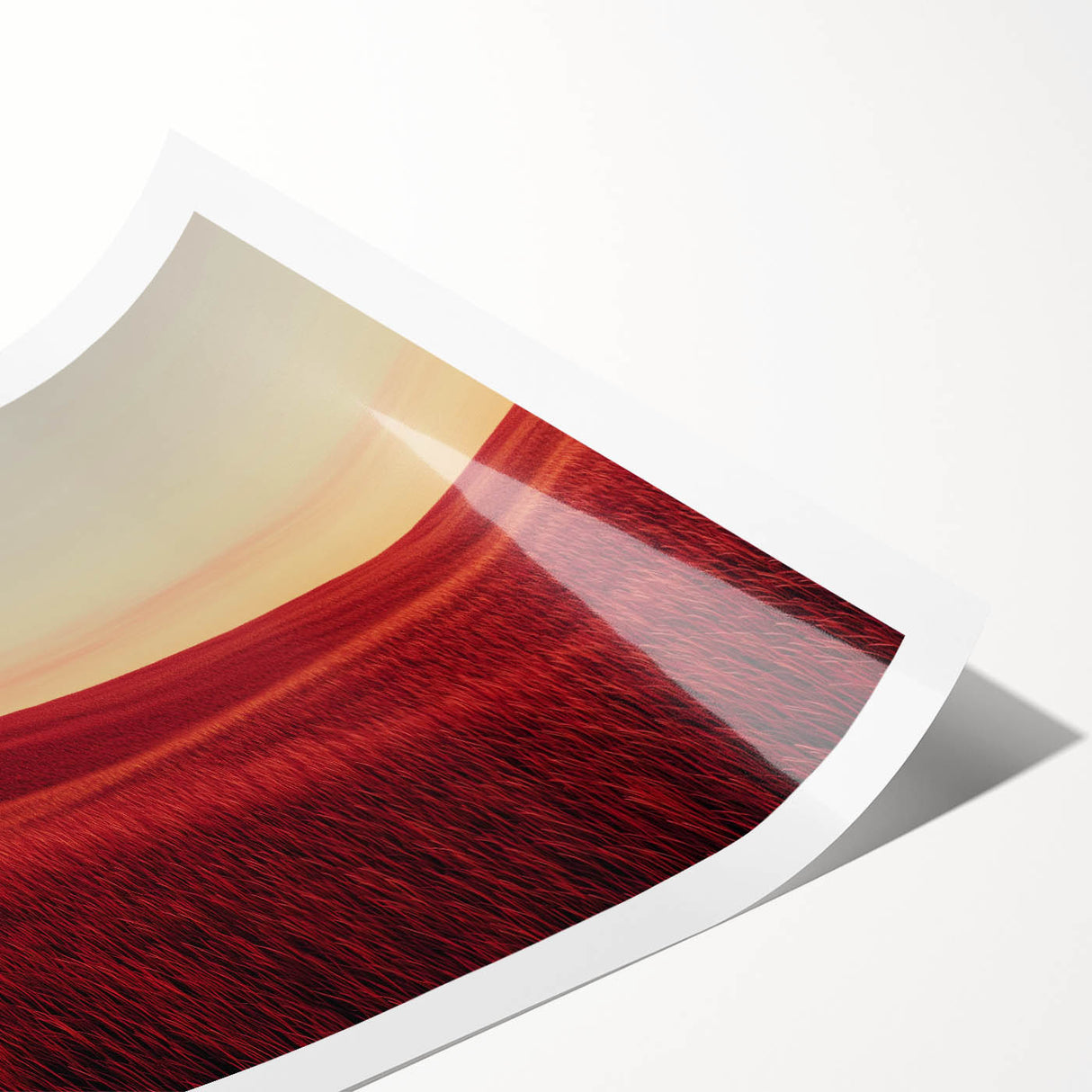 Rolled print showcasing a serene countryside landscape with rolling hills and vibrant greenery, elegantly packaged in a durable cardboard tube for safe shipping.