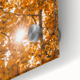 Large abstract wall art depicting fall colors in mid-century modernist style on acrylic glass, ideal for dining room art.